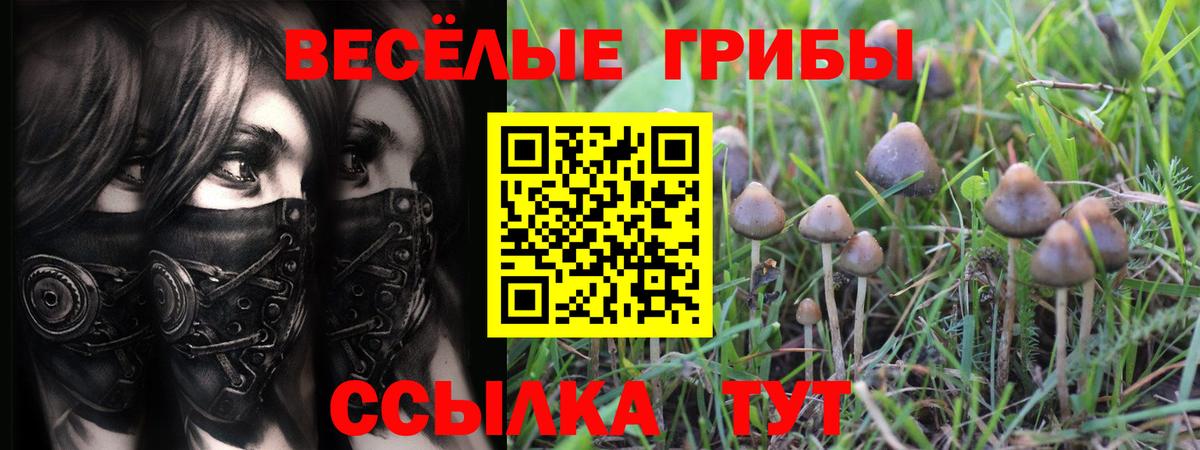Галлюциногенные грибы мицелий  хочу   Клинцы  Вход с VPN  Галлюциногенные грибы GOLDEN TEACHER 